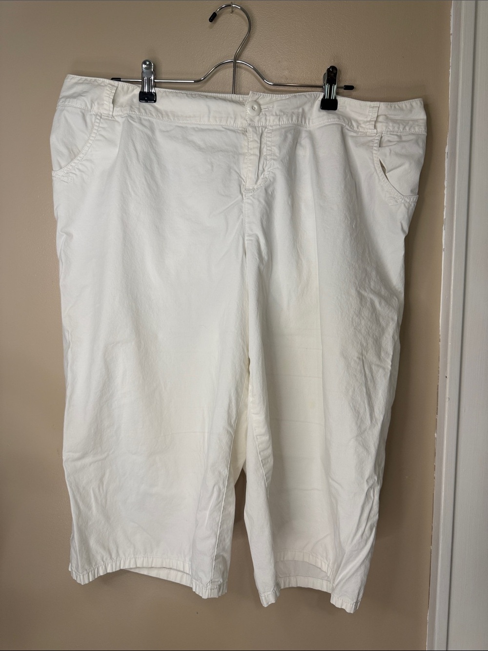 Lane Bryant White Shorts